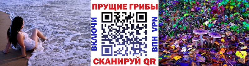kraken зеркало  Грязи  Галлюциногенные грибы Psilocybe 