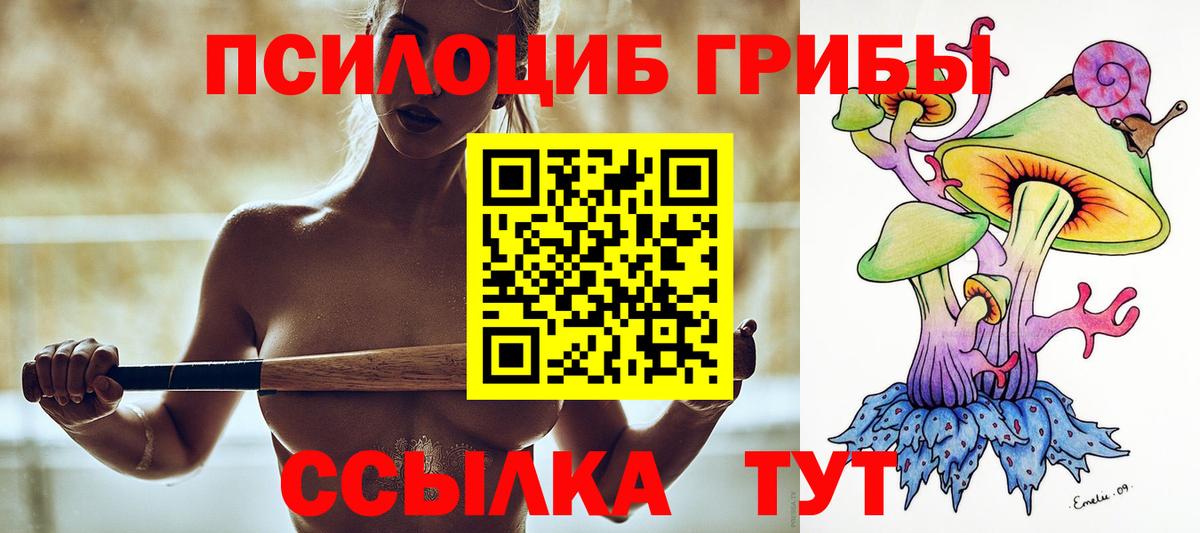 Псилоцибиновые грибы GOLDEN TEACHER Грязи